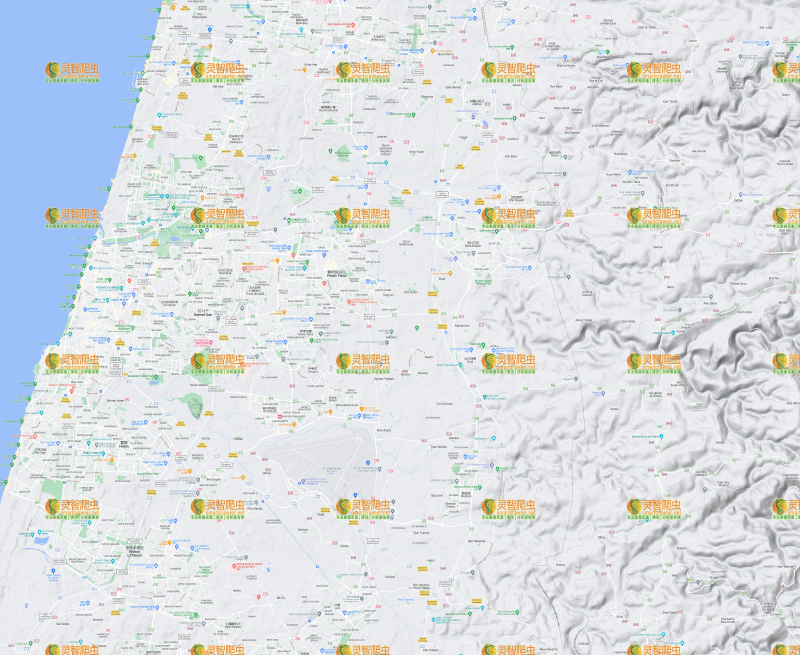 以色列 特拉维夫 Google 谷歌 高清地形图