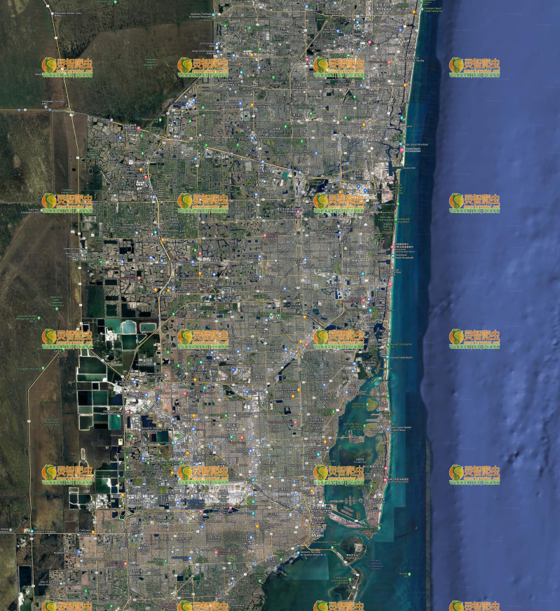 美国 迈阿密 Google 谷歌 高清卫星图