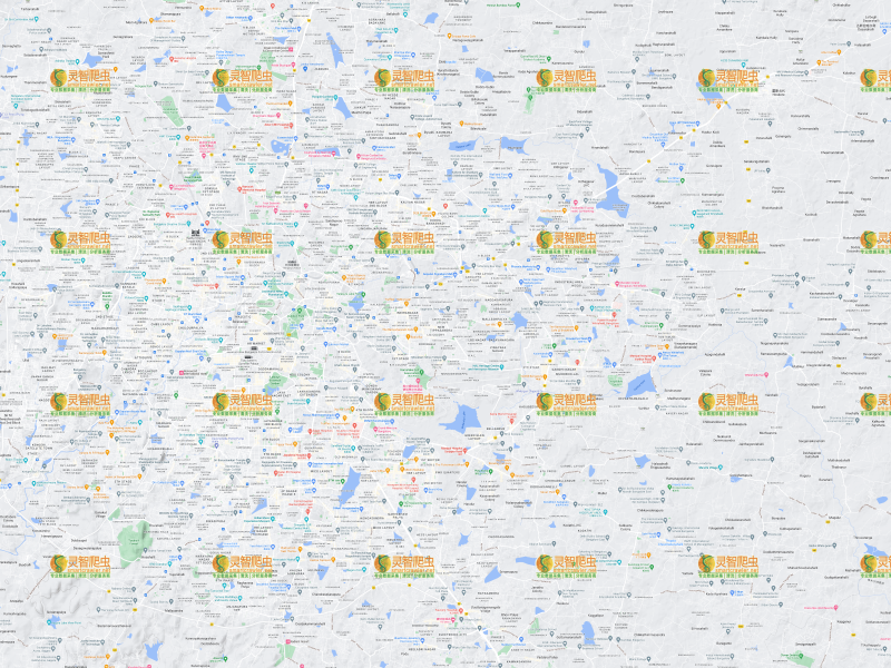 印度 班加罗尔 Google 谷歌 高清地形图