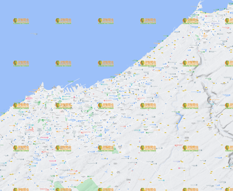 摩洛哥 卡萨布兰卡 Google 谷歌 高清地形图