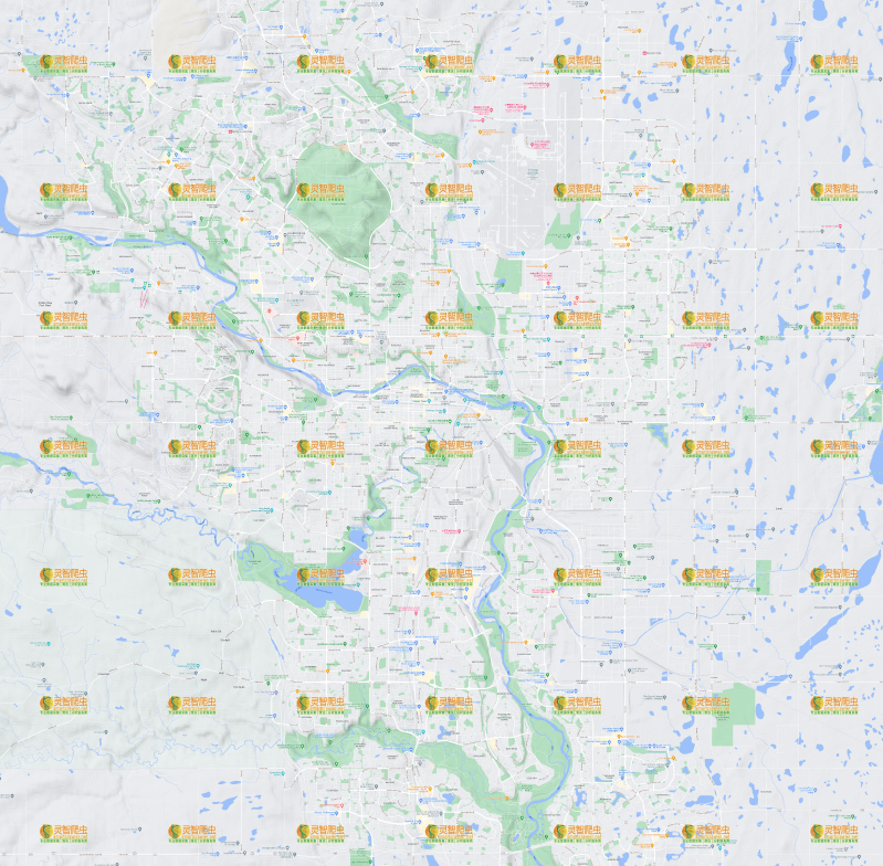 加拿大 卡尔加里 Google 谷歌 高清地形图