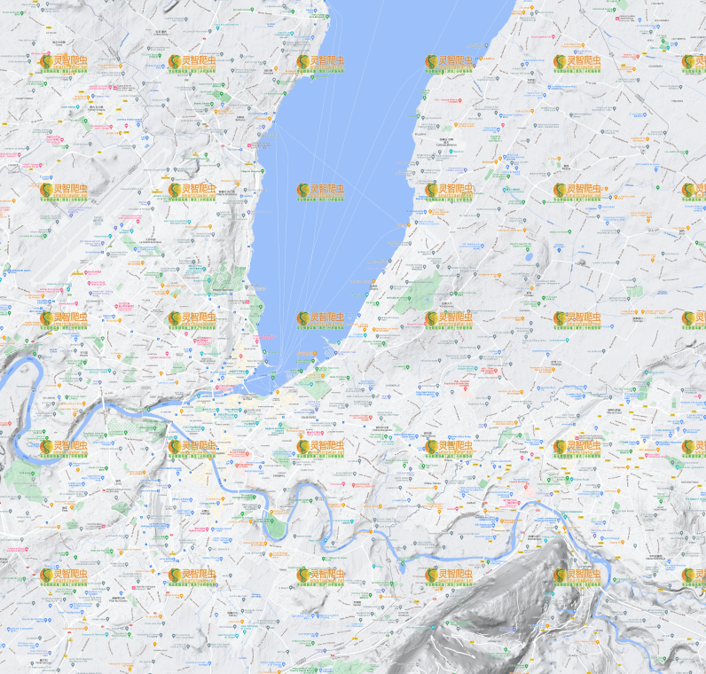 瑞士 日内瓦 Google 谷歌 高清地形图
