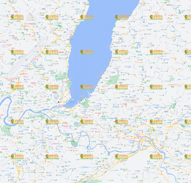 瑞士 日内瓦 Google 谷歌 高清地图