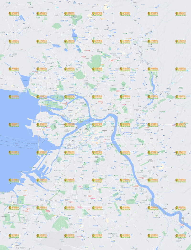 俄罗斯 圣彼得堡 Google 谷歌 高清地形图