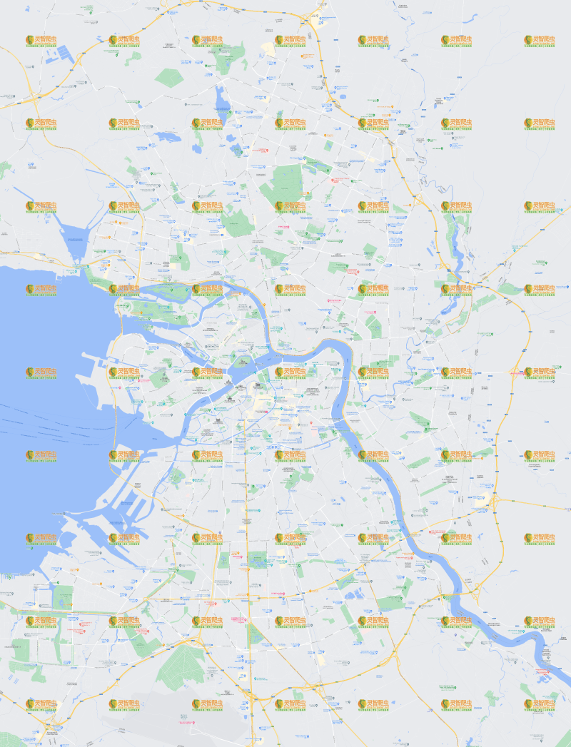 俄罗斯 圣彼得堡 Google 谷歌 高清地图