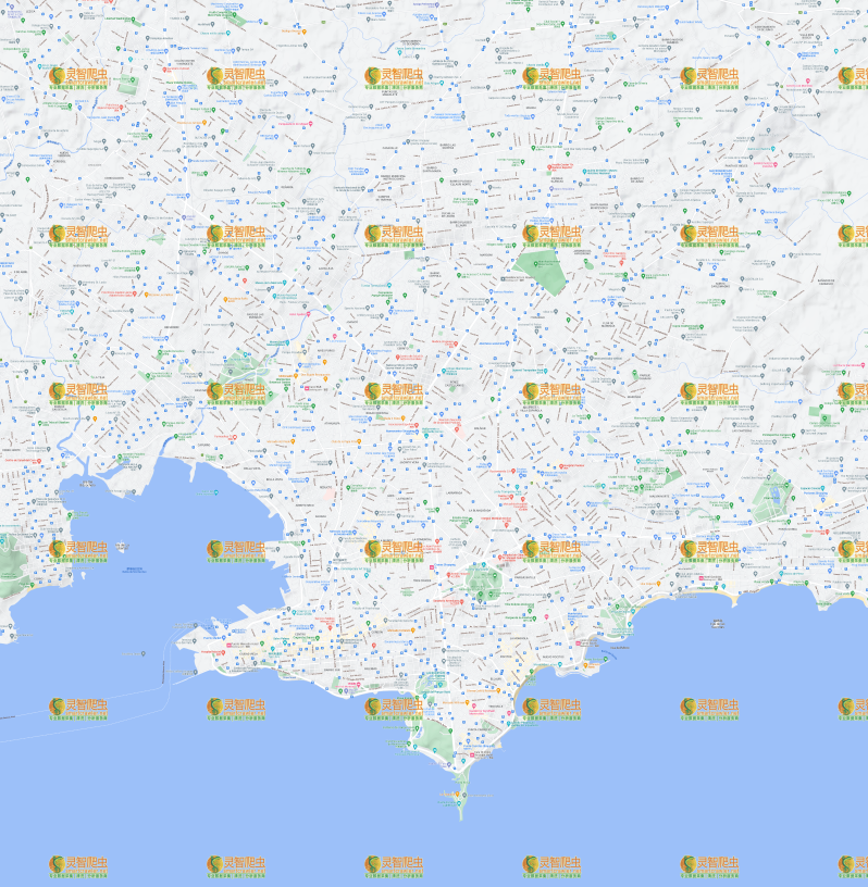 乌拉圭 蒙得维的亚 Google 谷歌 高清地形图