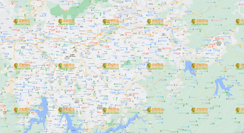 巴西 圣保罗 Google 谷歌 高清地图
