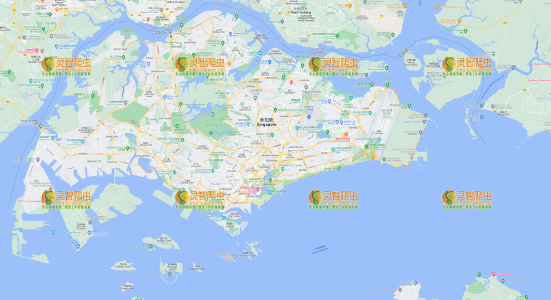 新加坡 新加坡 Google 谷歌 高清地图