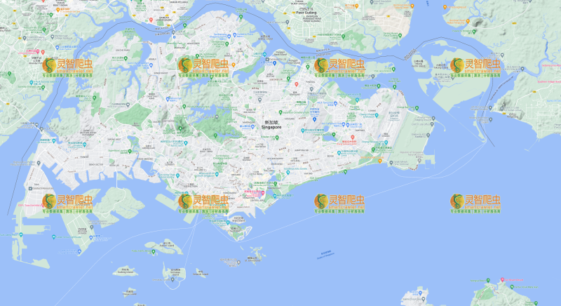 新加坡 新加坡 Google 谷歌 高清地形图