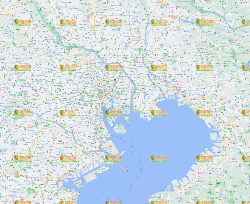 日本 东京 Google 谷歌 高清地图