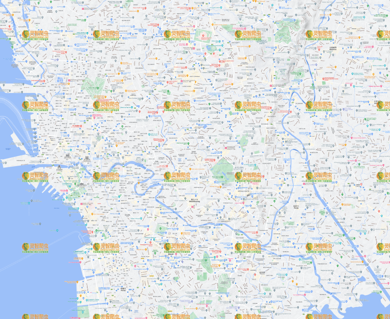 菲律宾 马尼拉 Google 谷歌 高清地形图